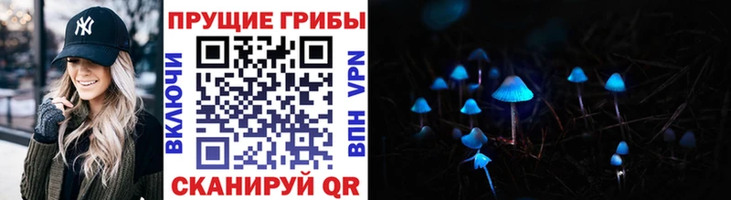 дарнет шоп  Мурино  Галлюциногенные грибы Magic Shrooms 